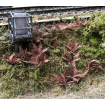 Scale Model Scenery Brown Bracken / Fern Plants (Pack of 32) OO Gauge