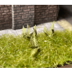 Scale Model Scenery Green Bracken / Fern Plants (Pack of 32) OO Gauge