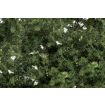 Woodland Scenics Medium Green Fine Leaf Foliage