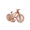 Wood Trick Mini Bicycle