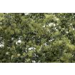 Woodland Scenics Olive Green Fine Leaf Foliage