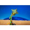 Pantasy Le Petit Prince™ Starlight Lamp Model Kit