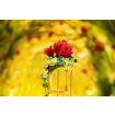 Pantasy Le Petit Prince™ Rose Swing Model Kit