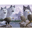 Painting By Numbers Wolves & Eagles