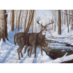 Painting By Numbers Winter Bliss