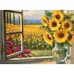 Painting By Numbers Harvest Time