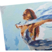 Craft Buddy "Dance In Dream" Painting By Numbers Kit