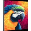 Craft Buddy "Paradise" Painting By Numbers Kit