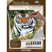 Canvas Tiger Painting Kit