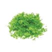 Hornby Flock - Bright Green OO Gauge