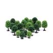 Hornby Hobby' Deciduous Trees OO Gauge