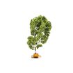 Hornby Tree (with Circular Bench) OO Gauge