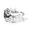 Sketching Made Easy Lion Pride