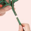Rowood Poinsettia Wooden Model Kit