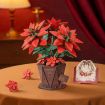 Rowood Poinsettia Wooden Model Kit