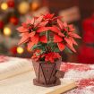 Rowood Poinsettia Wooden Model Kit