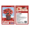 Rowood Poinsettia Wooden Model Kit