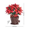 Rowood Poinsettia Wooden Model Kit