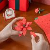Rowood Poinsettia Wooden Model Kit