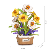 Rowood Narcissus Wooden Model Kit