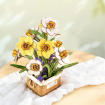 Rowood Narcissus Wooden Model Kit