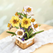 Rowood Narcissus Wooden Model Kit