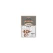 Rolife Airship Wooden Model Kit