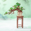 Rolife Evergreen Pine Bonsai Wooden Model Kit