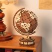 Rolife Global Wonders Wooden Model Kit