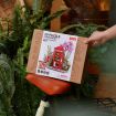 Rolife Blossom Book Booth Wooden Model Kit