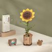 Rowood Sunflower Wooden Model Kit