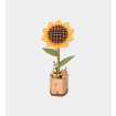 Rowood Sunflower Wooden Model Kit