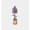Rowood Lilac Wooden Model Kit