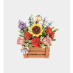 Rowood Wooden Bloom Box Wooden Model Kit