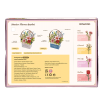 Rowood Flower Basket Wooden Model Kit
