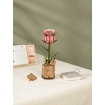 Rowood Pink Rose Wooden Model Kit