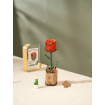 Rowood Red Rose Wooden Model Kit