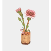 Rowood Pink Carnation Wooden Model Kit