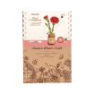 Rowood Red Carnation Wooden Model Kit