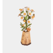 Rowood Chamomile Wooden Model Kit