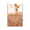 Rowood Orange Tulip Wooden Model Kit