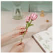 Rowood Pink Tulip Wooden Model Kit