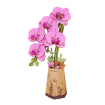 Rowood Purple Moth Orchid Wooden Model Kit