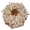 Wood Trick Mystery Flower Wooden Model Kit