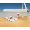 Lightcraft Professional LED Task Lamp