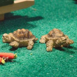 Terry & Jerry Tortoises for 12th Scale Dolls House