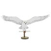Metal Earth Hedwig Metal Model Kit