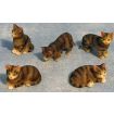 Tabby Cats 5 Assorted for 12th Scale Dolls House