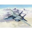 Revell Top Gun F-14A Tomcat