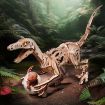 ROKR Velociraptor Wooden Model Kit
